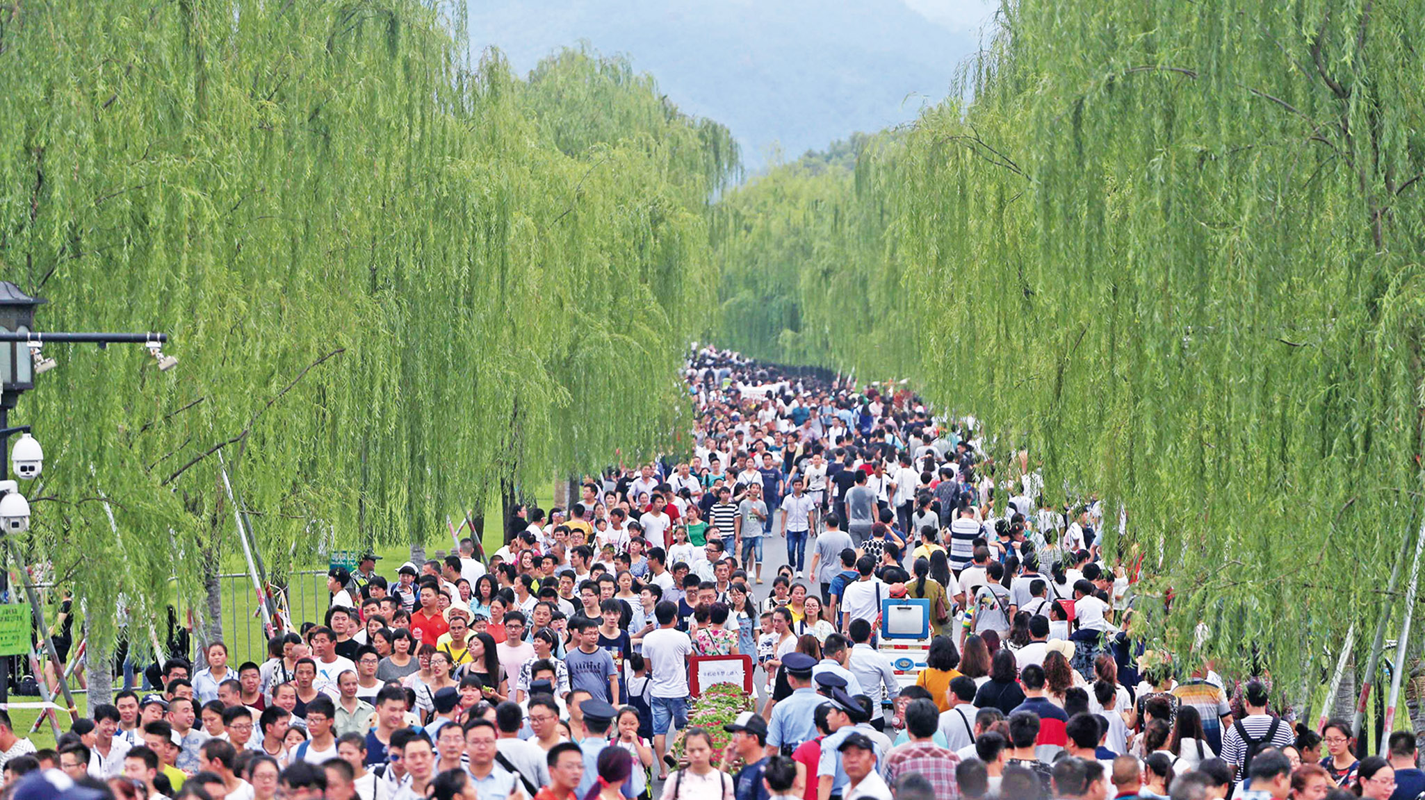 抖+热门怎么买比较好_抖音购买热搜_抖音买热度链接
