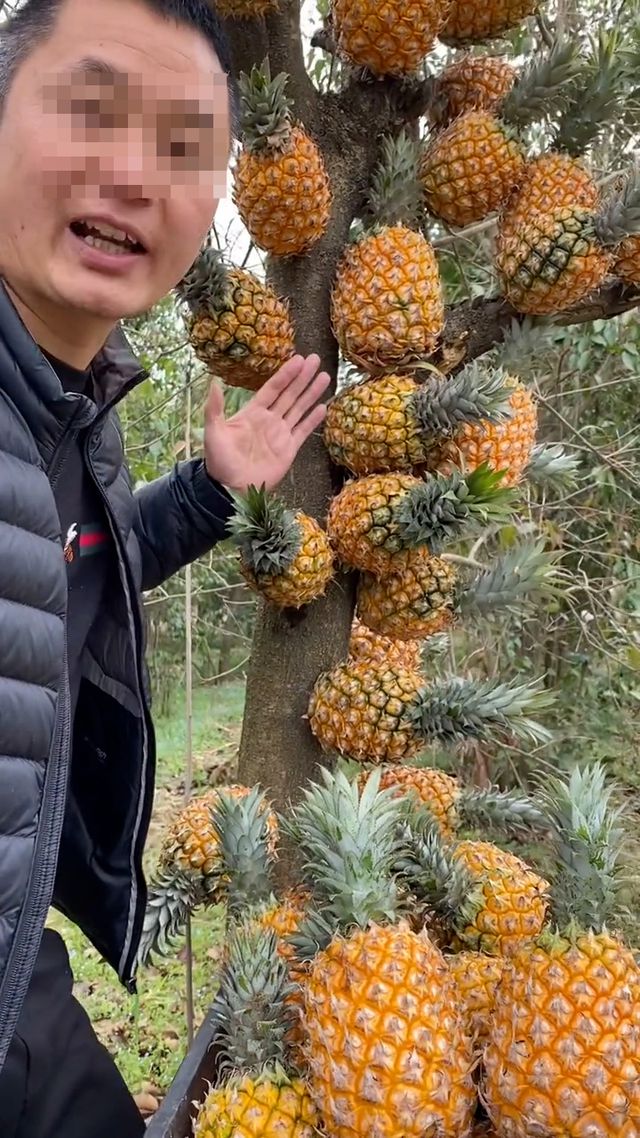 抖音点赞自助平台24小时_抖音点赞自助平台24小时_抖音点赞自助平台24小时