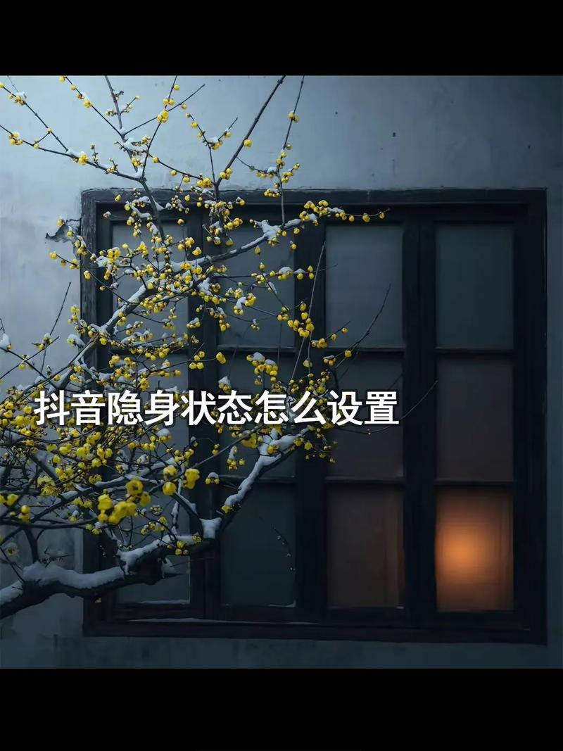 抖音怎么隐身让别人看不到你在线_抖音不显示在线状态_抖音隐身设置